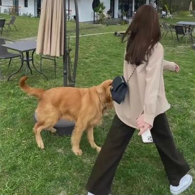 无人陪伴的儿童