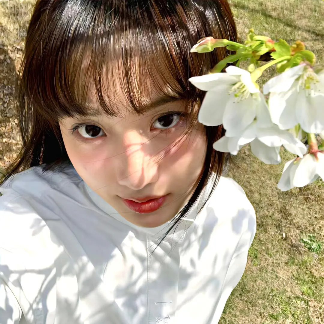 监察局长